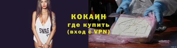молекула духа Арсеньев