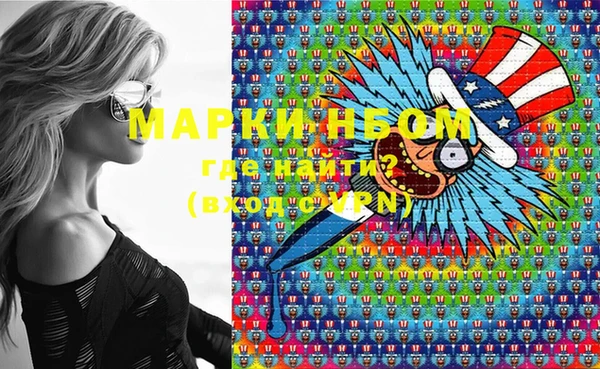 молекула духа Арсеньев