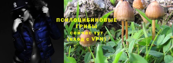ГАЛЛЮЦИНОГЕННЫЕ ГРИБЫ Армянск
