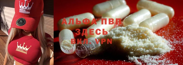 молекула духа Арсеньев