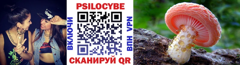 где найти наркотики  Спас-Клепики  Псилоцибиновые грибы прущие грибы 