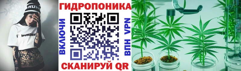 Конопля SATIVA & INDICA что такое Спас-Клепики